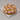 Macadamia and Cereal Tart XXL